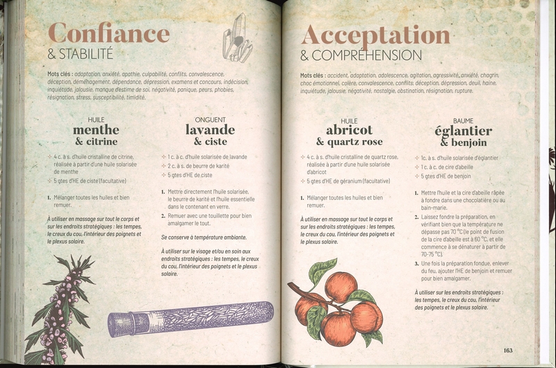 Mon grimoire de sorcière alchimiste