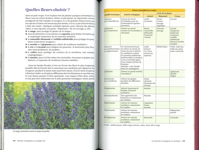 Plantes compagnes au potager bio - Nelle édition