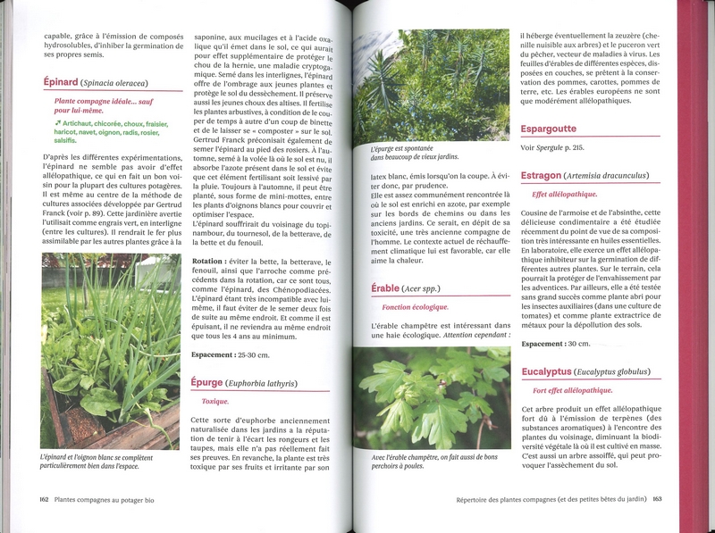 Plantes compagnes au potager bio - Nelle édition