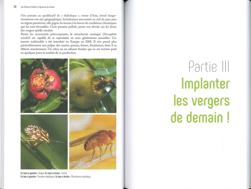 Les arbres fruitiers à l'épreuve du climat