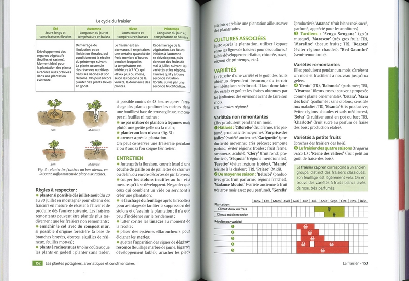 Le guide du jardin bio - Collector