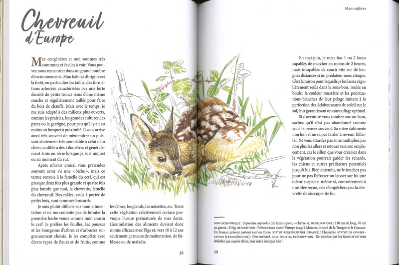 Nous les animaux des campagnes