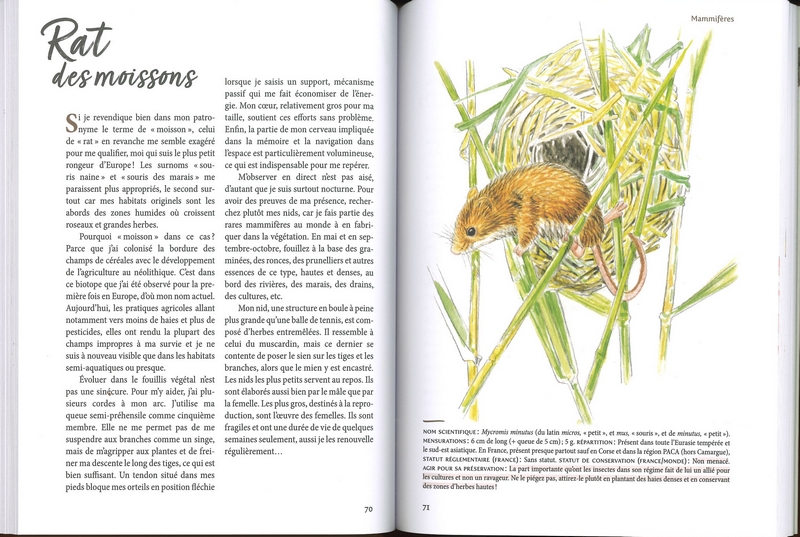 Nous les animaux des campagnes