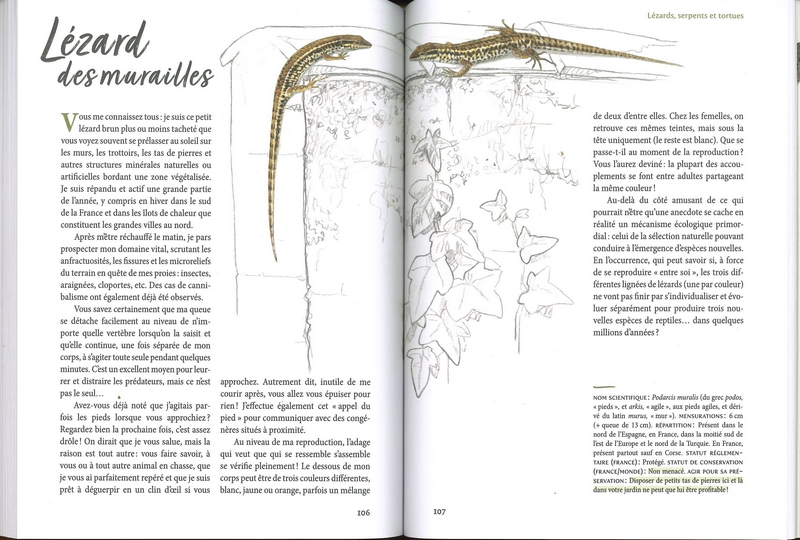 Nous les animaux des campagnes