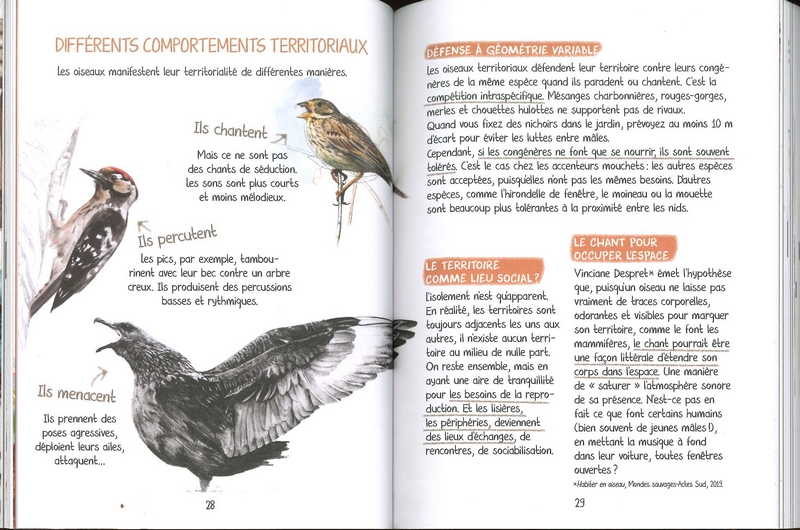 Découvrir les oiseaux de nos jardins