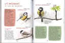 Découvrir les oiseaux de nos jardins
