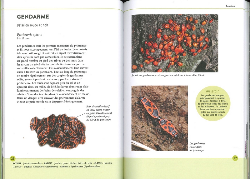 Reconnaître facilement les animaux du jardin