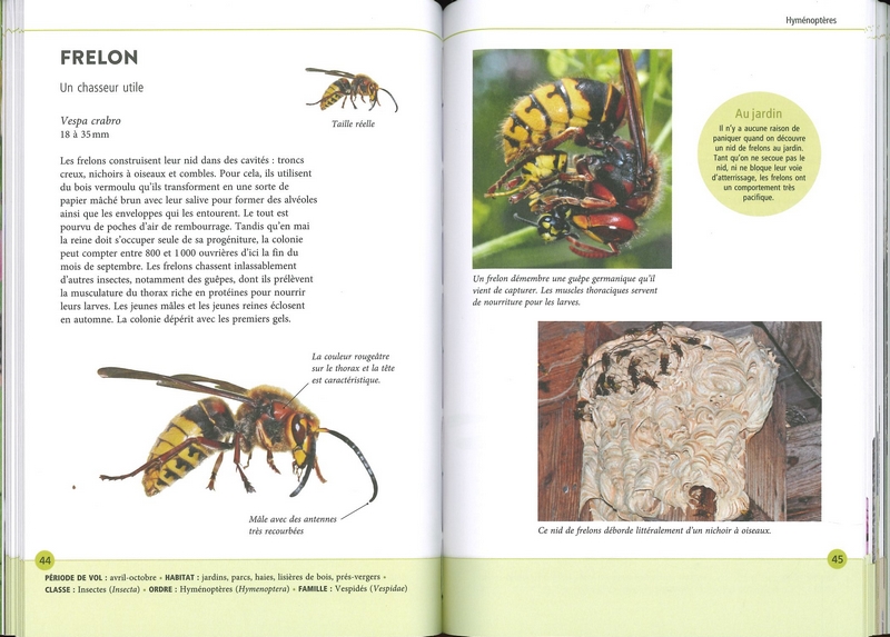 Reconnaître facilement les animaux du jardin