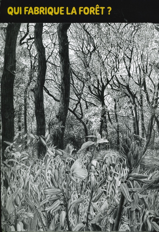 La forêt des merveilles