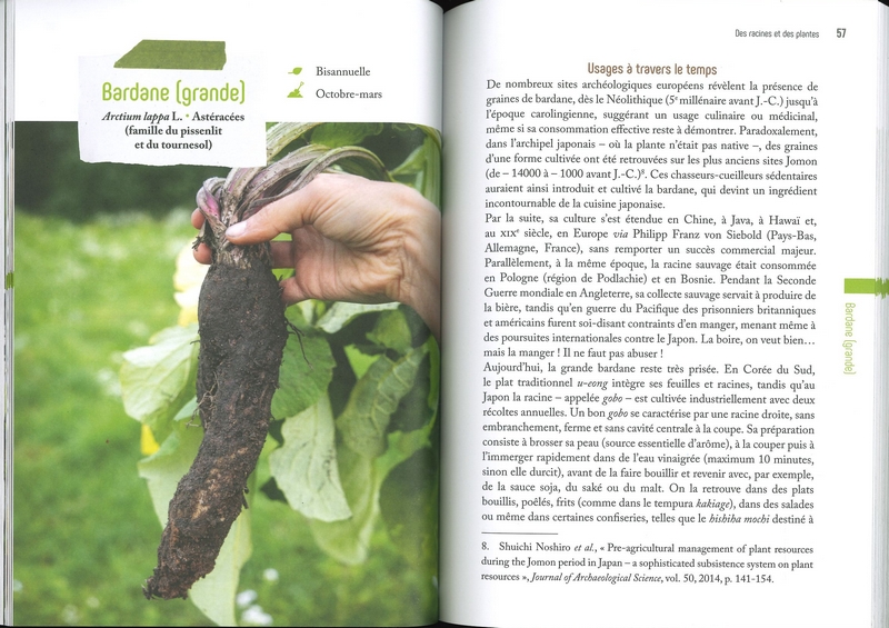 Délicieuses racines sauvages