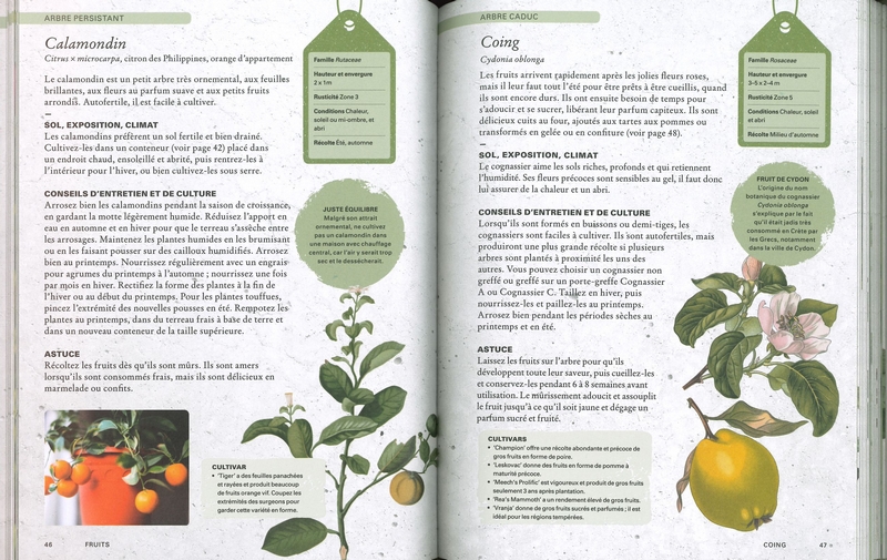 Manuel du jardinier pour cultiver les fruits