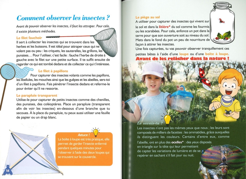 Formidables insectes de nos jardins