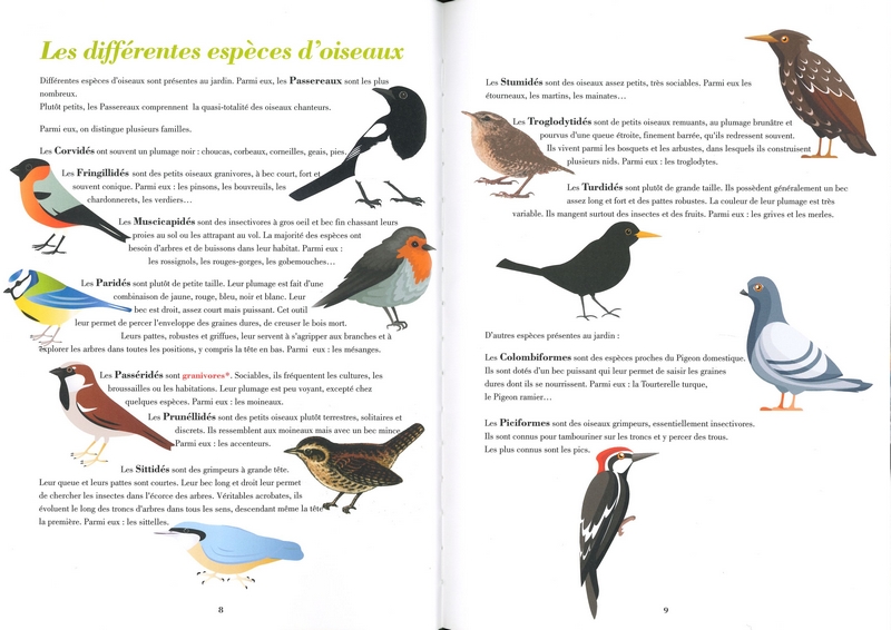 Les oiseaux de nos jardins en Wallonie et à Bruxelles
