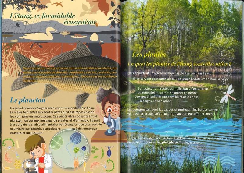 La vie étonnante des étangs