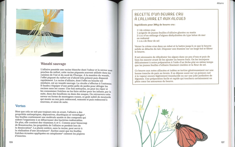 Sur les traces des dinosaures de Belgique