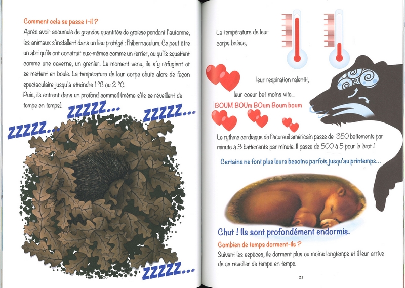 Chut! L'hiver, je dors...