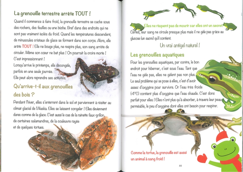 Chut! L'hiver, je dors...