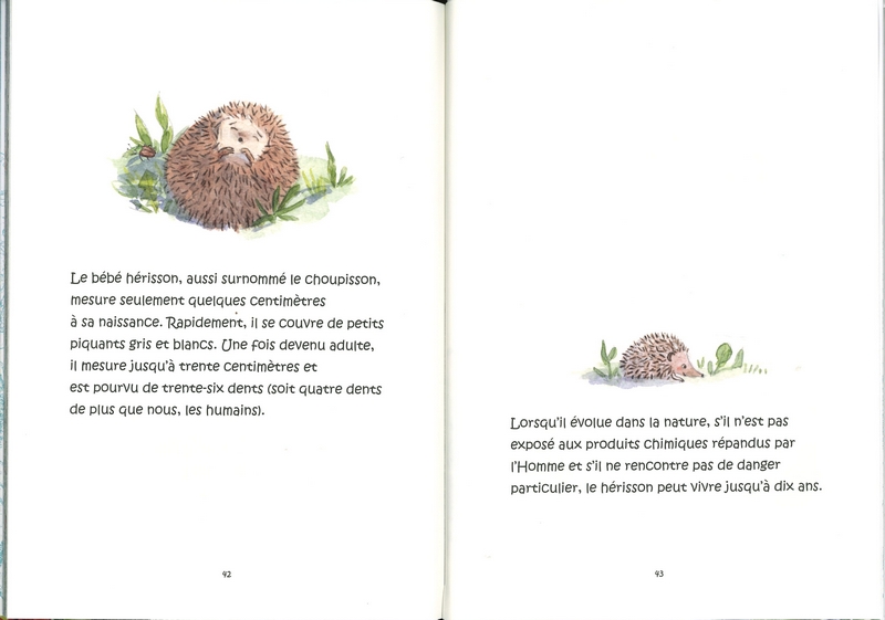 Kiki Gaston a disparu!