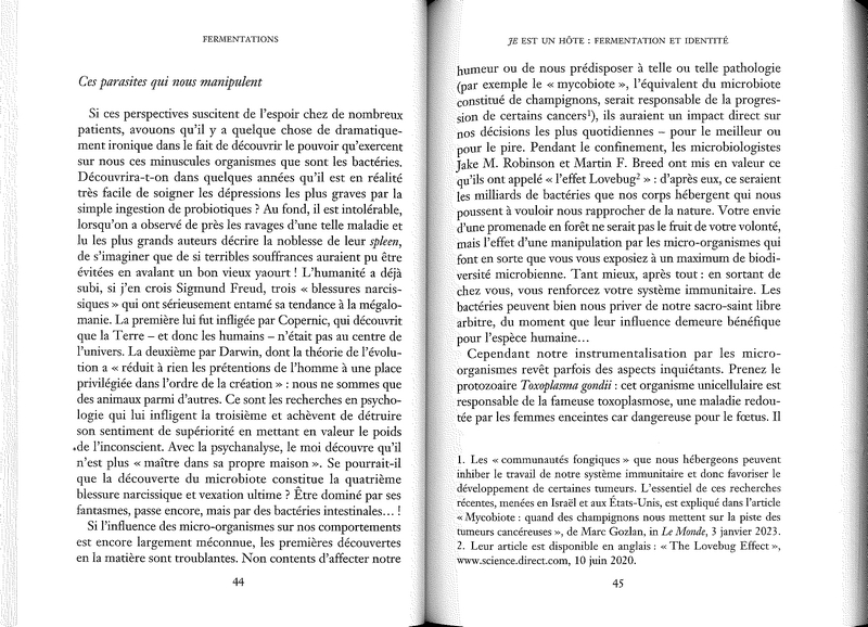 Fermentations kéfir, compost et bactéries