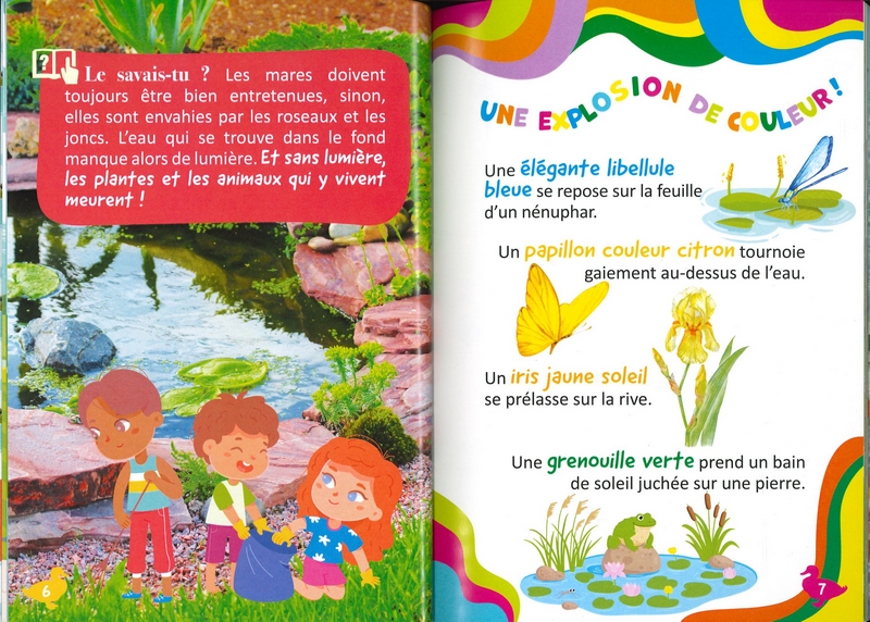 Il n'y a pas que les canards dans la mare