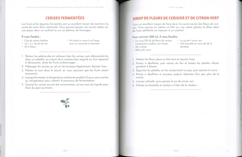 L'étonnante variété de choses pratiques, gourmandes et amusantes à faire avec les arbres