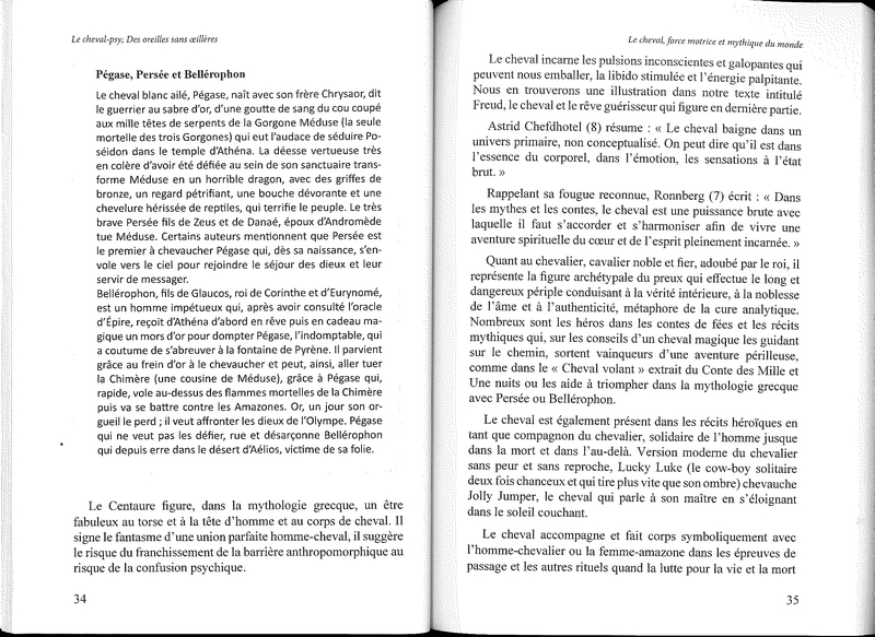 Le cheval-psy des oreilles sans oeillères