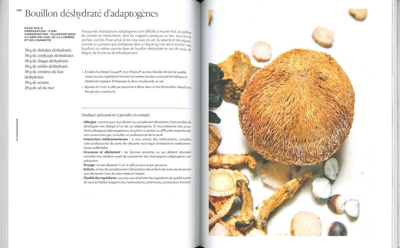 Bouillons bienfaisants