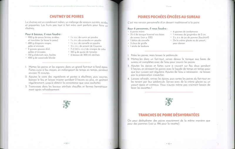 L'étonnante variété de choses pratiques, gourmandes et amusantes à faire avec les arbres