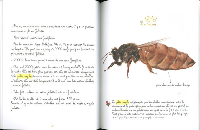 Le jardin de Juliette et Joséphine - L'abeille