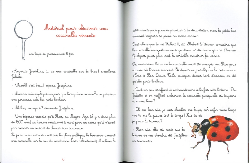 Le jardin de Juliette et Joséphine - La coccinelle