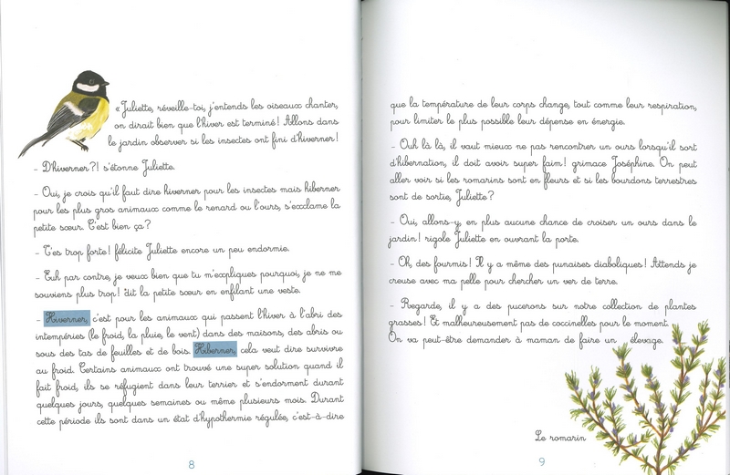 Le jardin de Juliette et Joséphine - La libellule