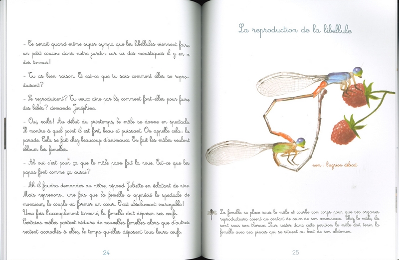 Le jardin de Juliette et Joséphine - La libellule