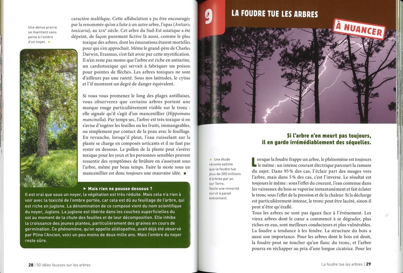 50 idées fausses sur les arbres
