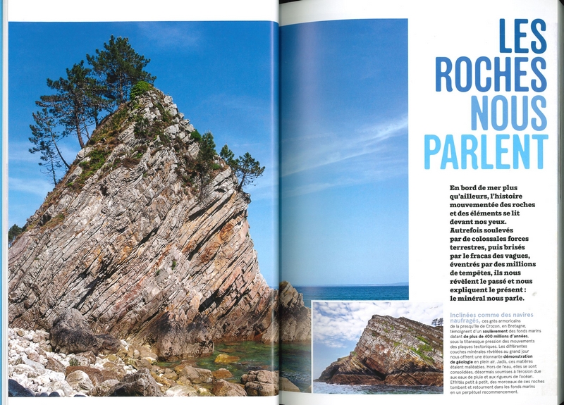 La nature en bord de mer