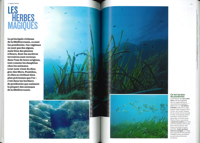 La nature en bord de mer