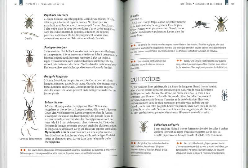 Les petits animaux des jardins et des maisons - Guide Delachaux