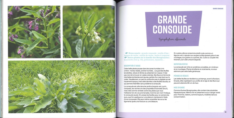 Je cuisine les plantes sauvages - Nelle éd