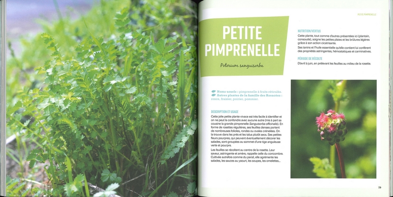 Je cuisine les plantes sauvages - Nelle éd
