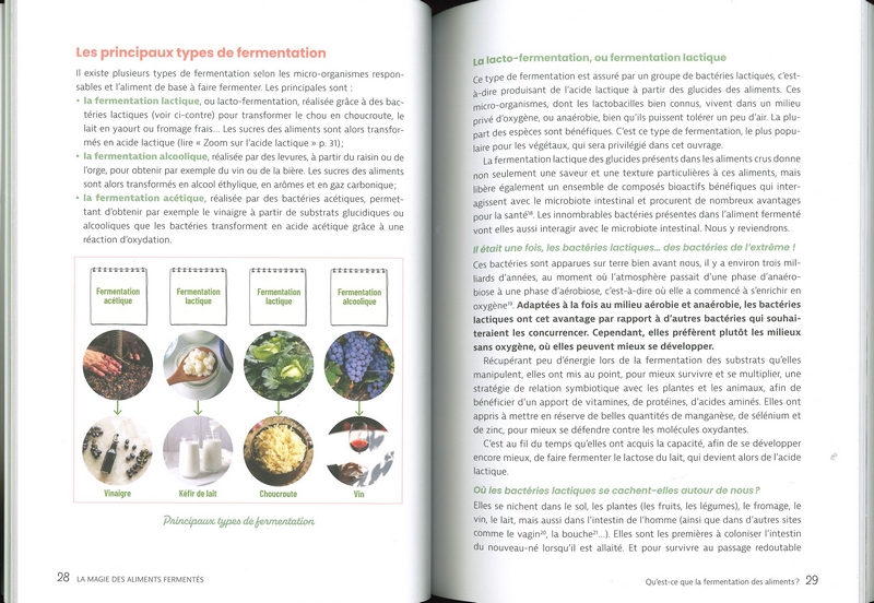 La magie des aliments fermentés