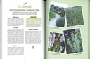 50 plantes qui résistent à tout!