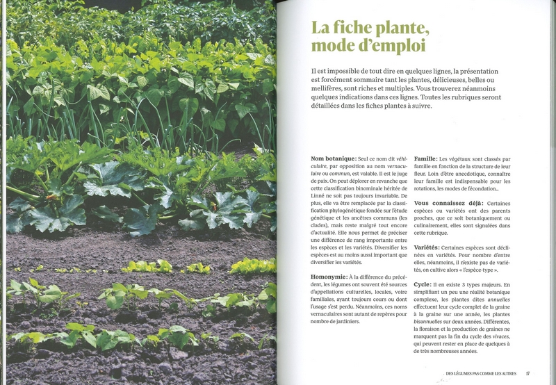 Des légumes pas comme les autres