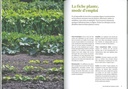 Des légumes pas comme les autres