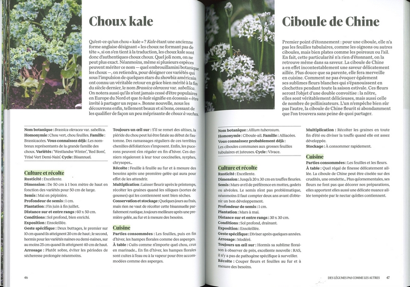 Des légumes pas comme les autres