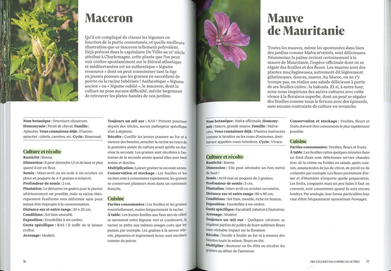 Des légumes pas comme les autres