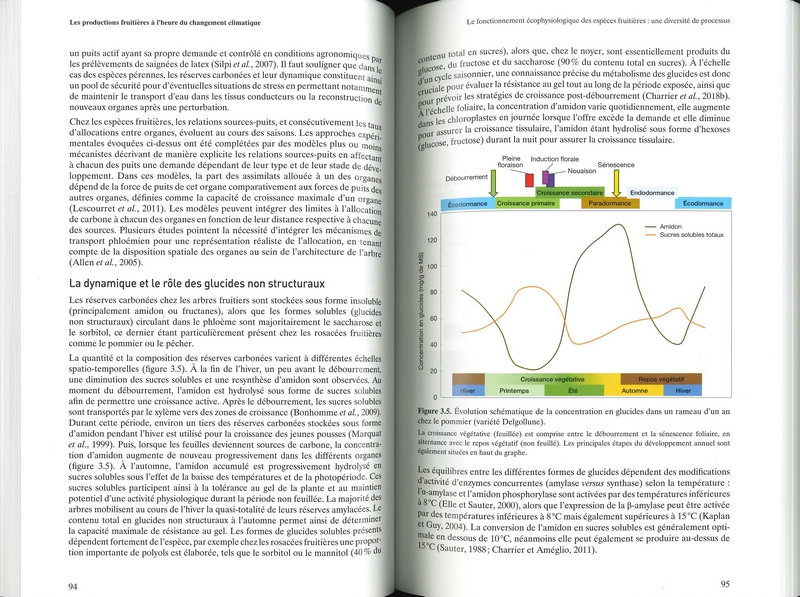 Les productions fruitières à l'heure du changement climatique