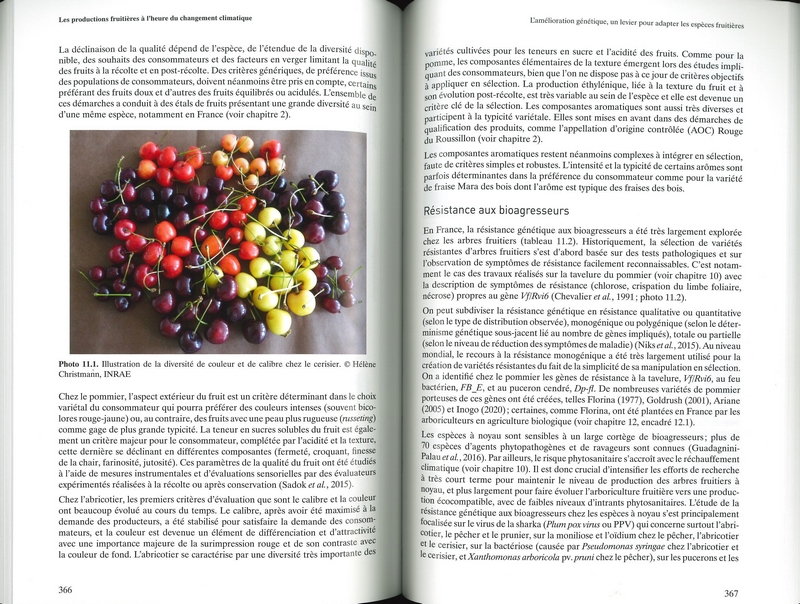 Les productions fruitières à l'heure du changement climatique