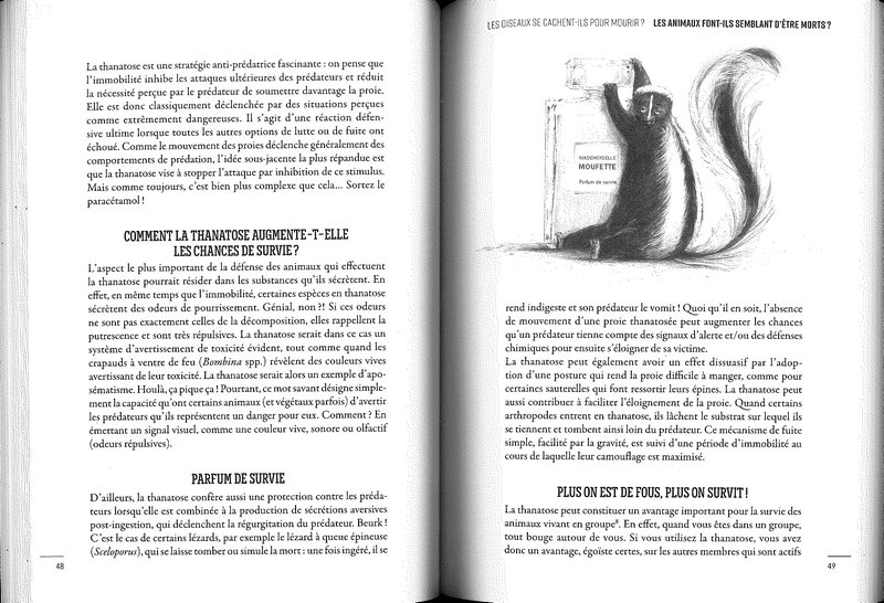 Les oiseaux se cachent-ils pour mourir?