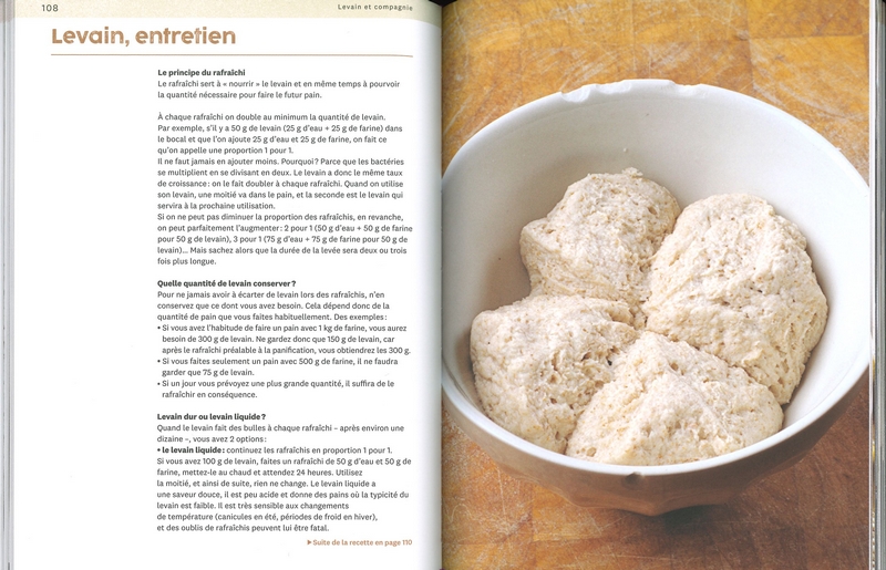 A l'école de la fermentation