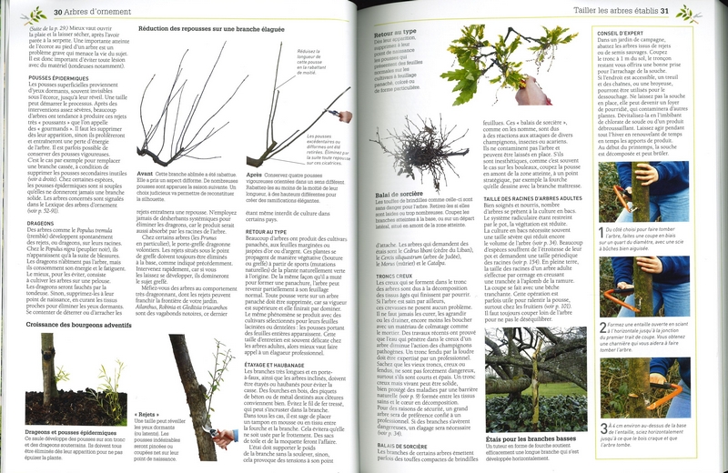 Le petit Larousse de la taille