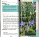 Guide des plantes sauvages comestibles - Belin